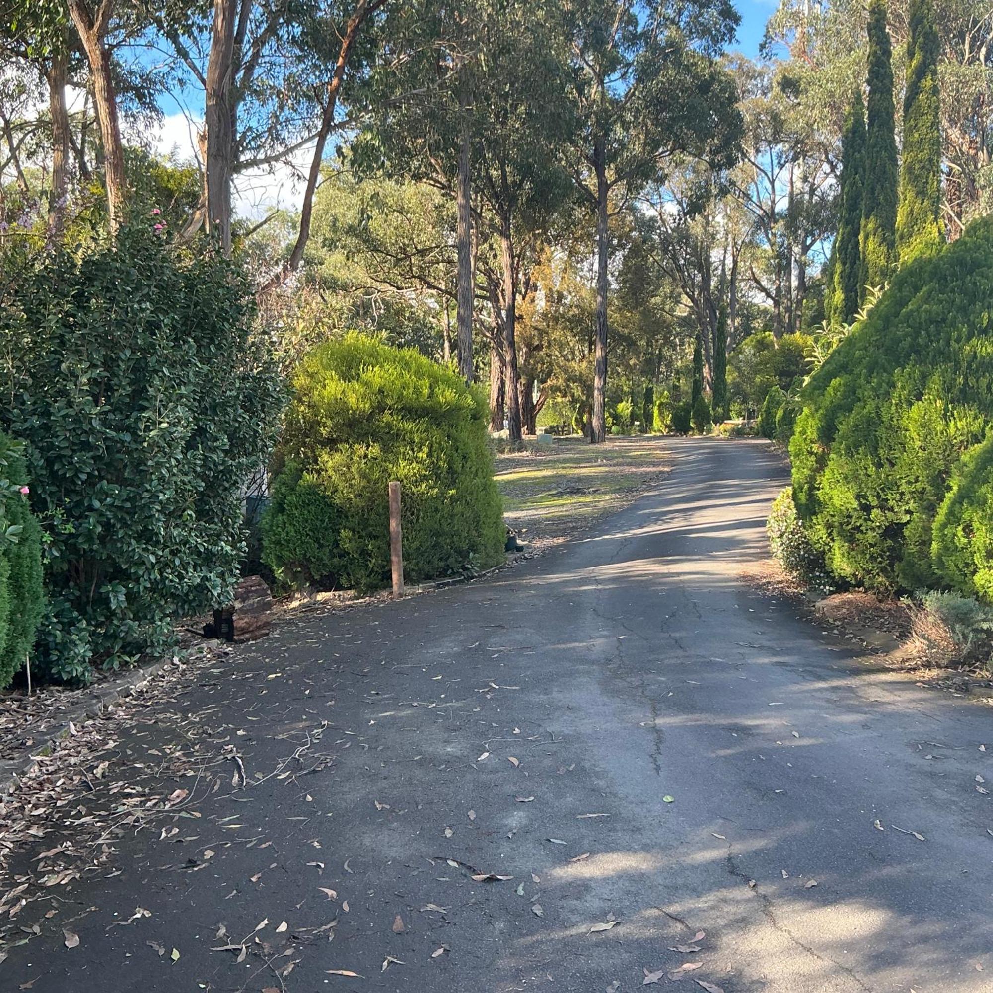 Sanctuary House Resort Motel Healesville Dış mekan fotoğraf