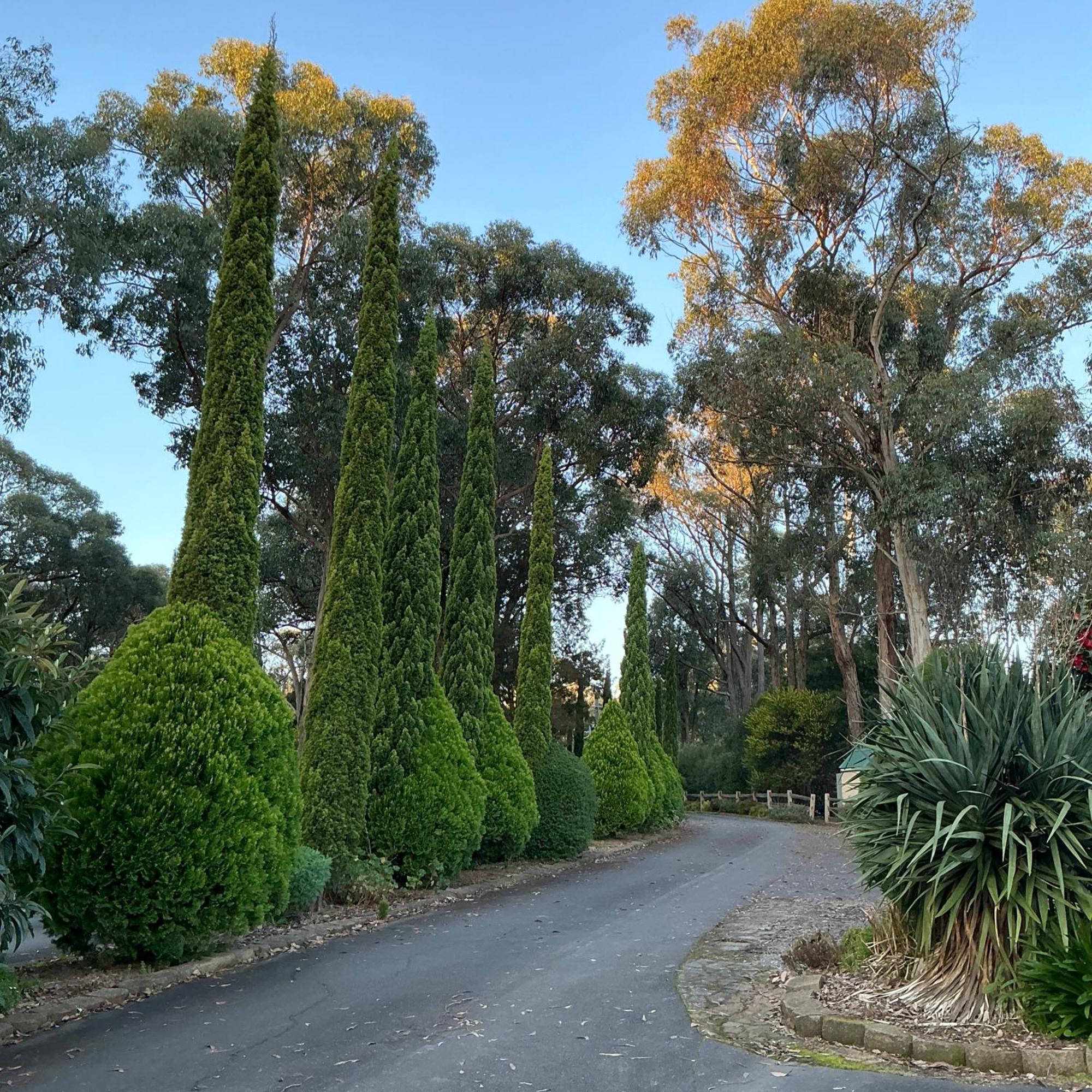 Sanctuary House Resort Motel Healesville Dış mekan fotoğraf