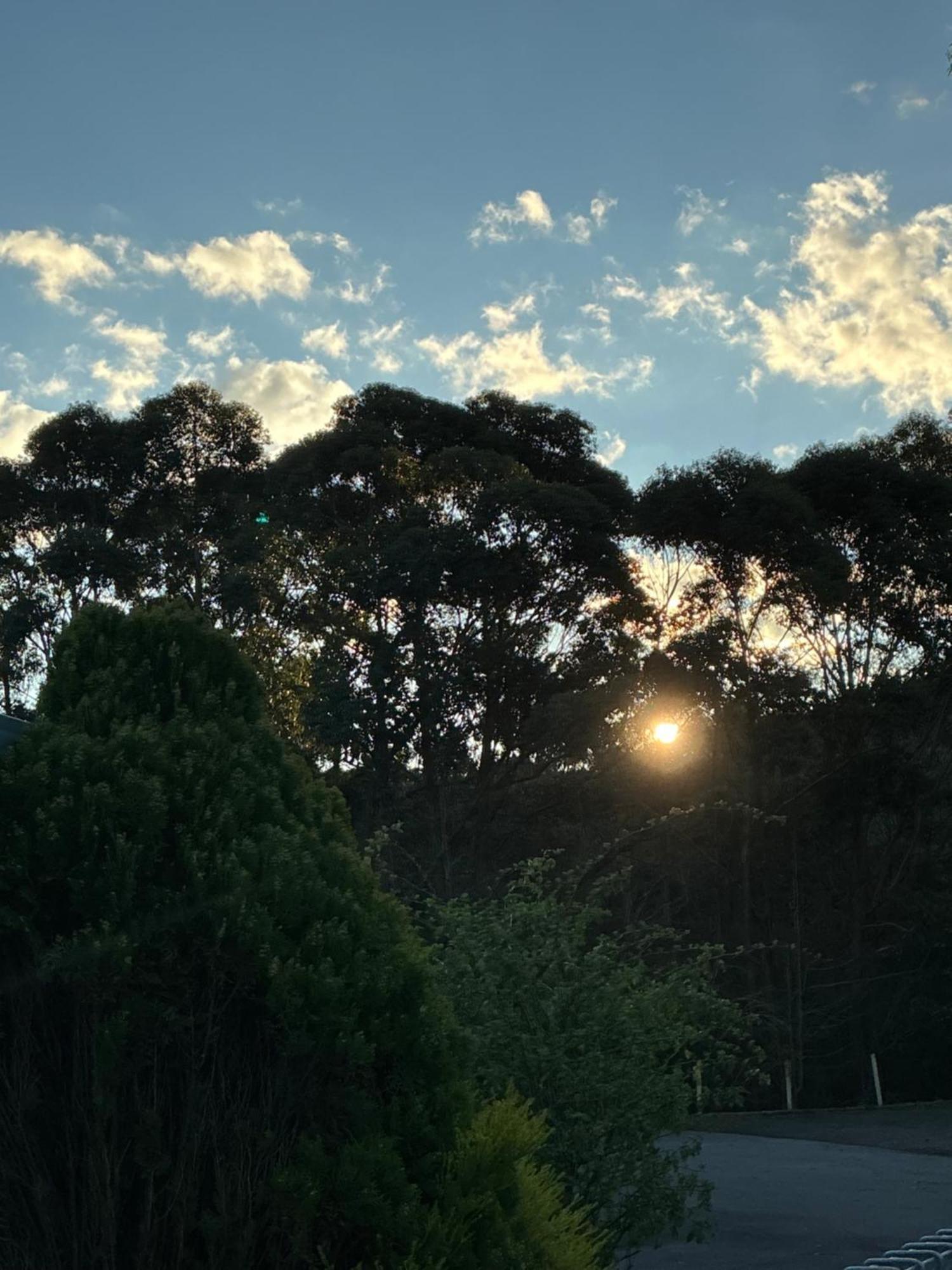 Sanctuary House Resort Motel Healesville Dış mekan fotoğraf