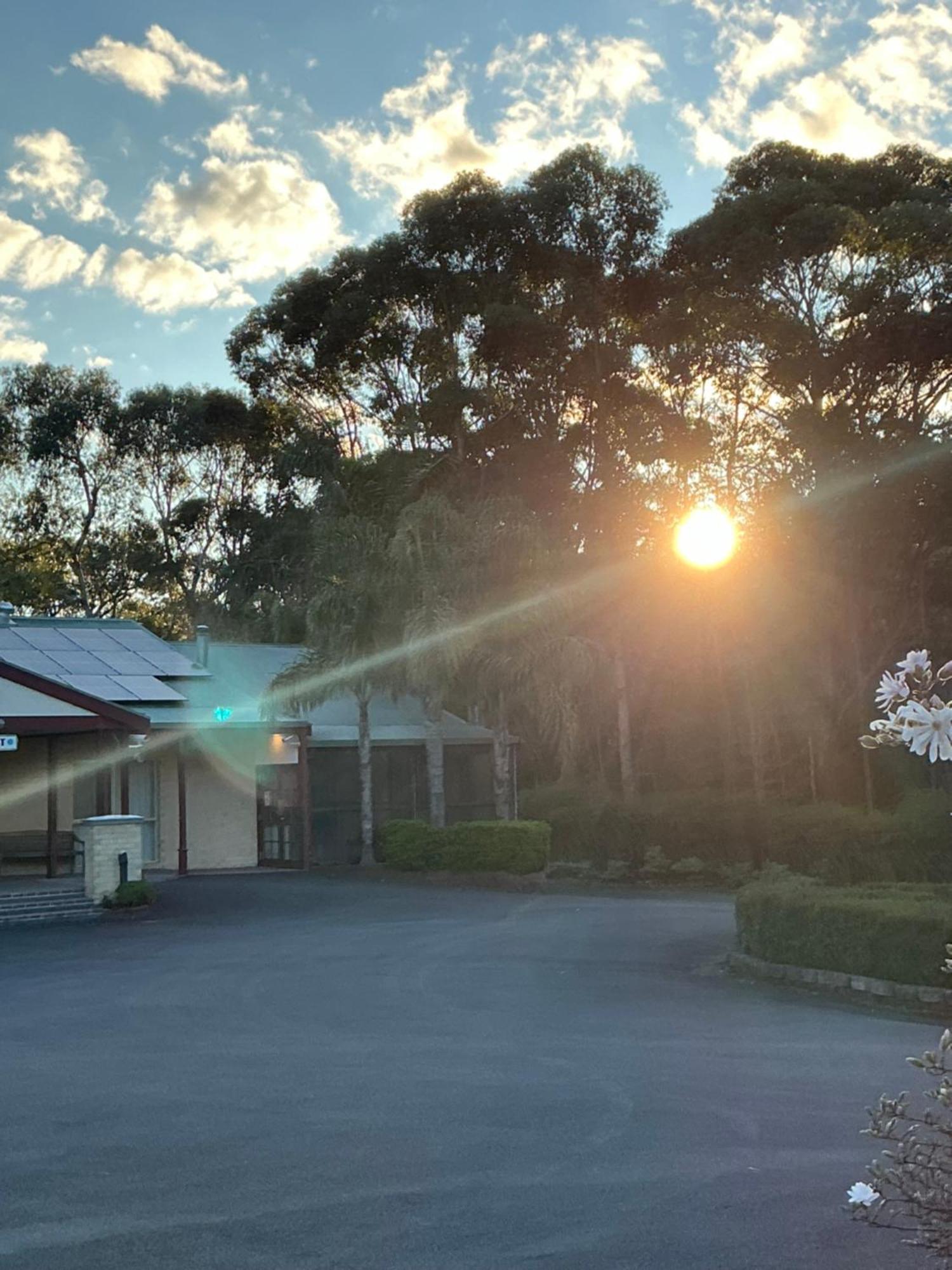 Sanctuary House Resort Motel Healesville Dış mekan fotoğraf